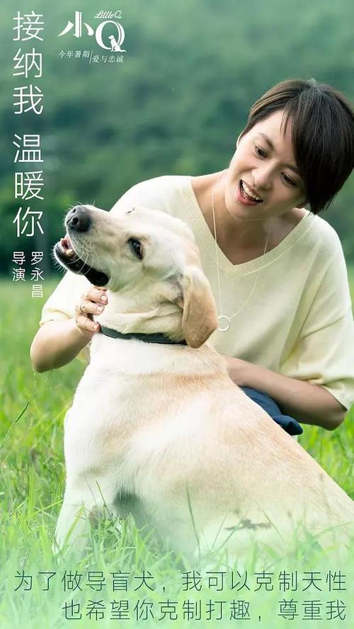 哪里能办理莱斯特学院文凭毕业证