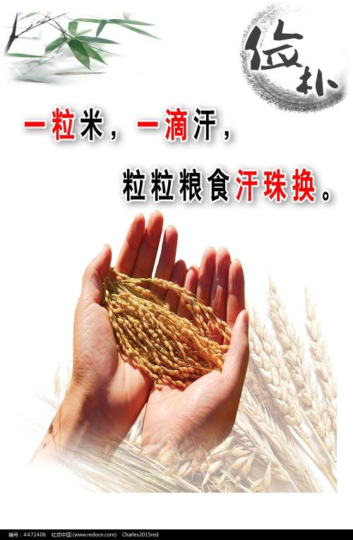 统招大专有学位证吗